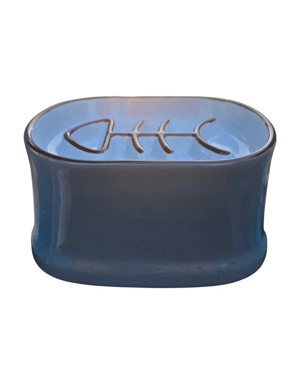 Y by YHY Ceramic Elevated Slow Feeder Cat Bowl w/Playful Fishbone